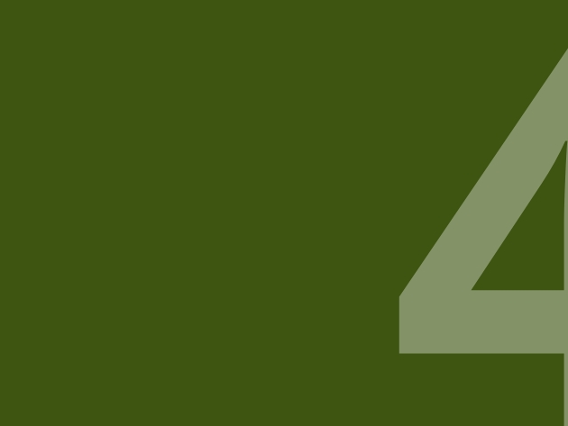 Institucional IV